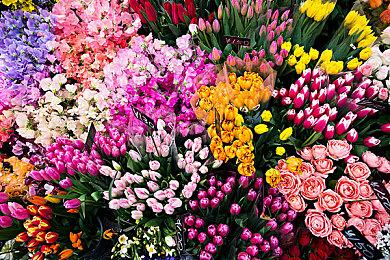 TGA2022：《猎天使魔女：起源》公开 2023年3月17日发售